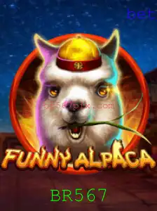 Explorando o Mundo Divertido de FunnyAlpaca: Como jogar e regras essenciais
